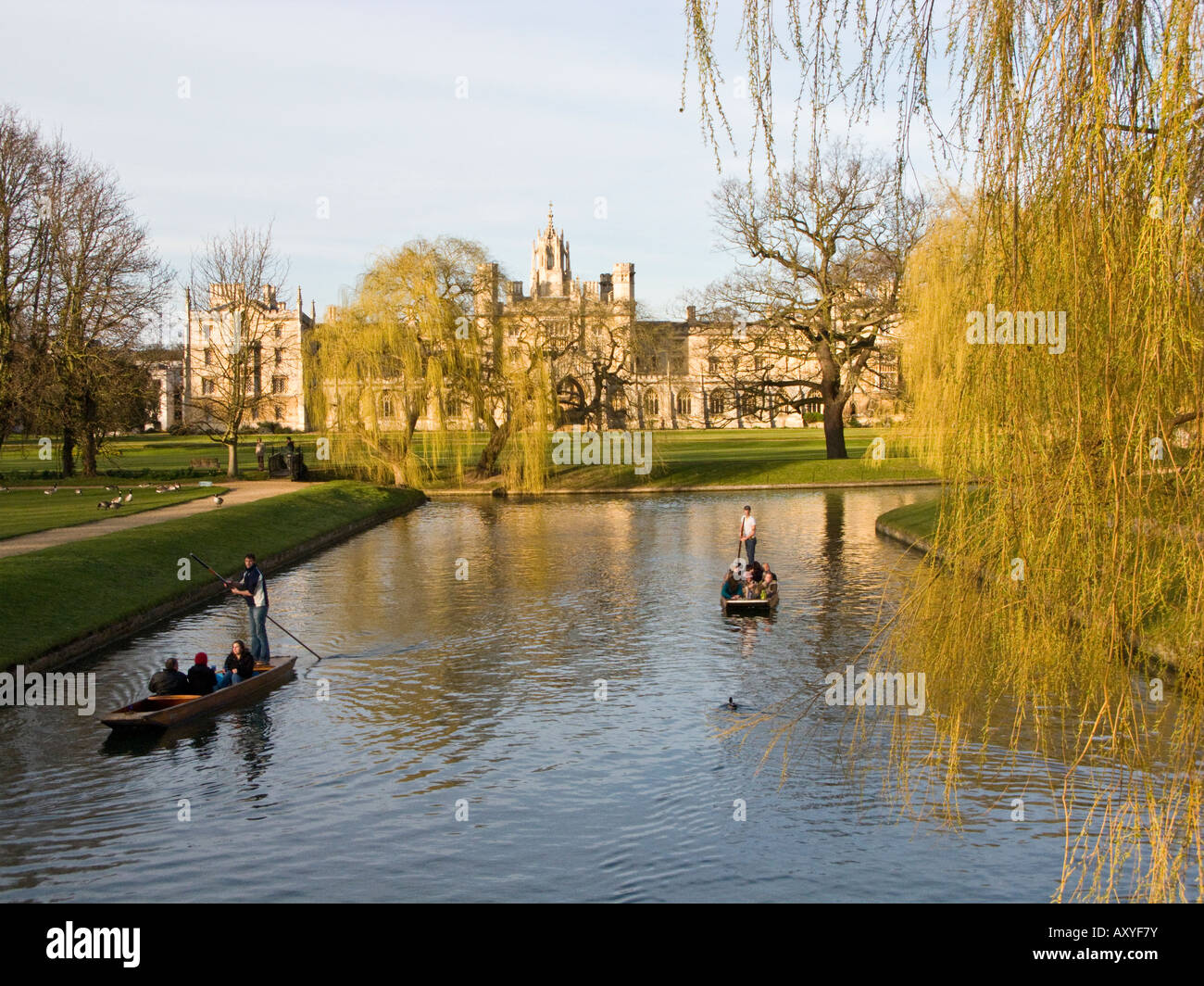 Punts en el río en el King's College College, Cambridge, Inglaterra. Foto de stock