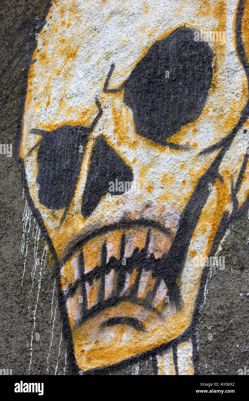Calavera murales horror escalofriante cráneo pared Sticker muro imagen adhesivos 11