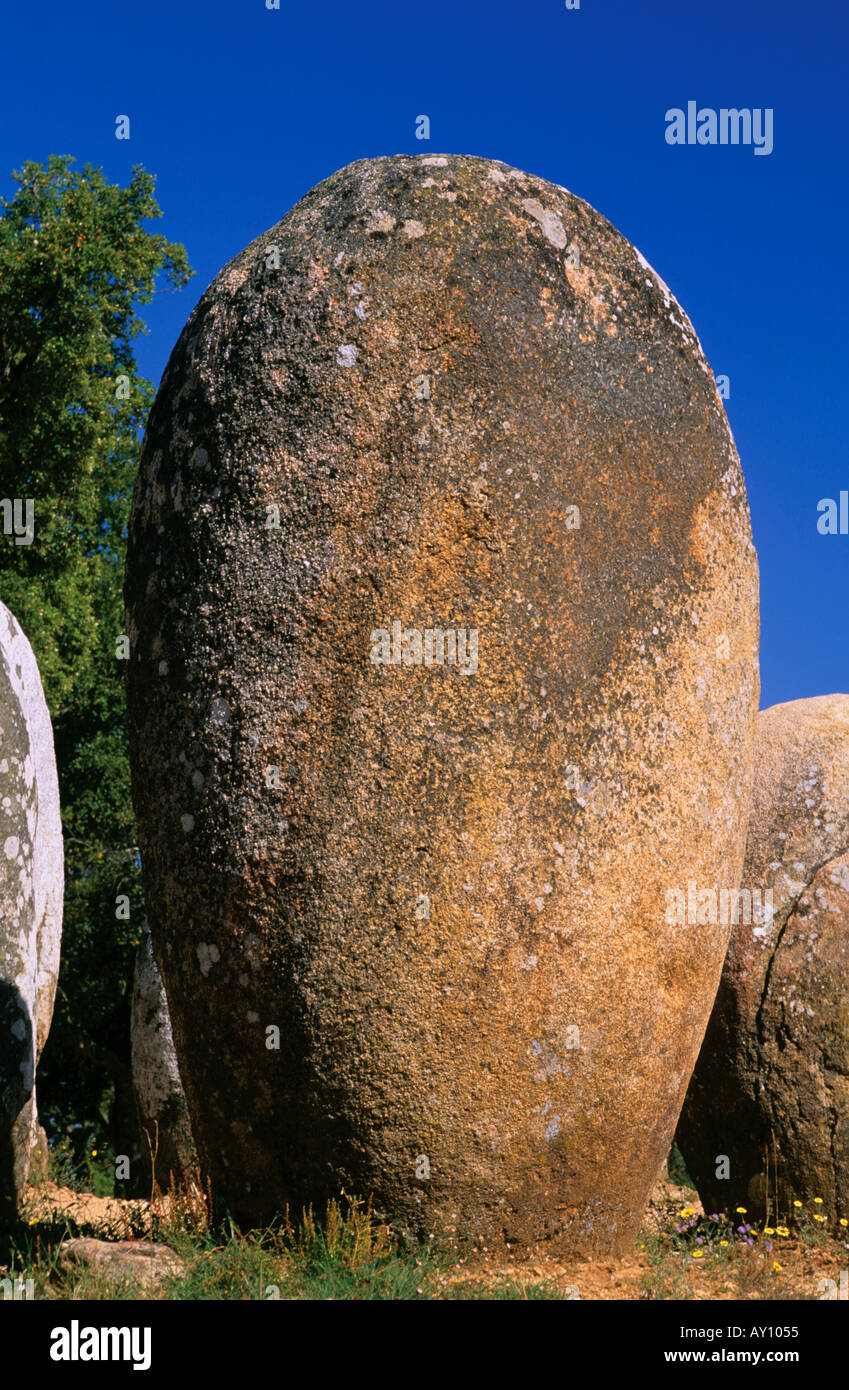 Una de las piedras prehistóricas del Cromeleque Almendres de Evora, Alentejo, Portugal Foto de stock