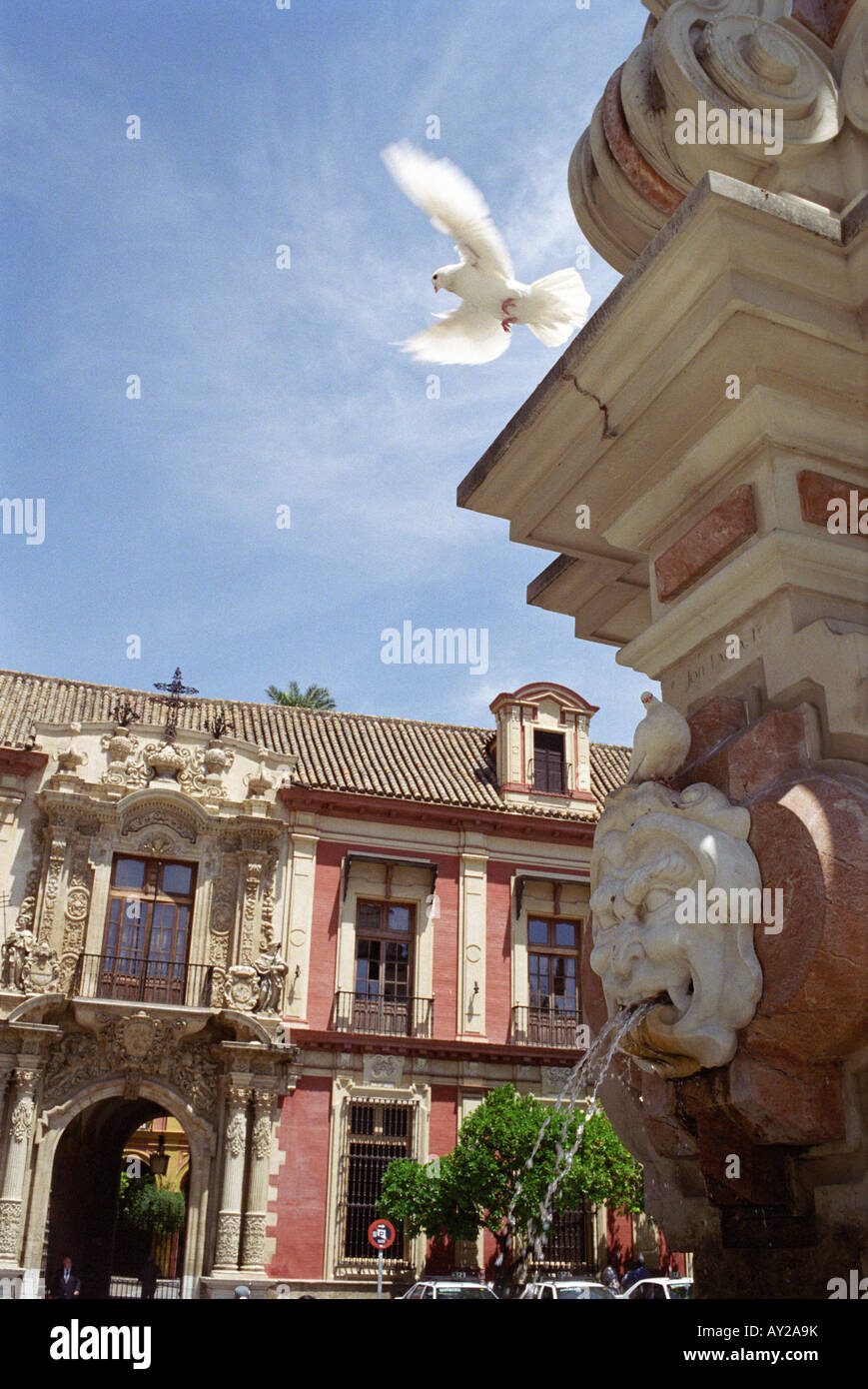 Una paloma levanta el vuelo en la plaza central de Sevilla, España. Foto de stock