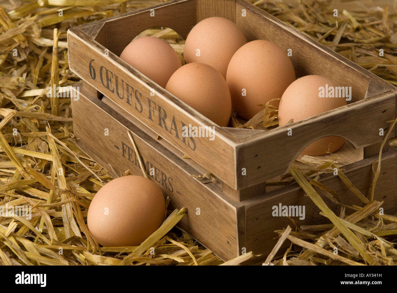 Caja de huevos de pollo orgánico recién sembradas Foto de stock