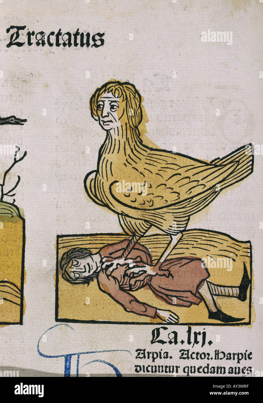 Una pesadilla medieval Foto de stock