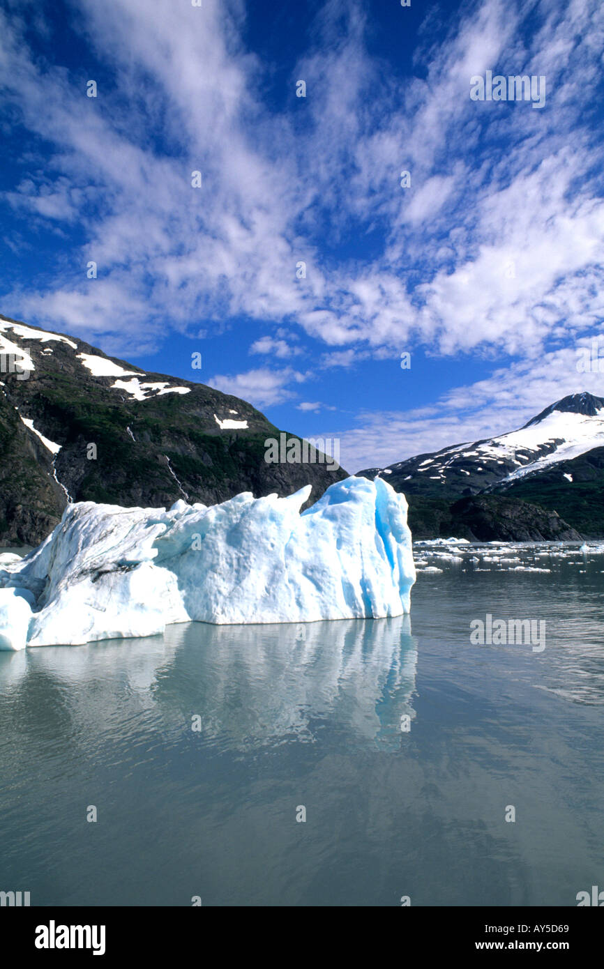Los glaciares y icebergs azules maravilloso glaciar Portage Alaska Foto de stock