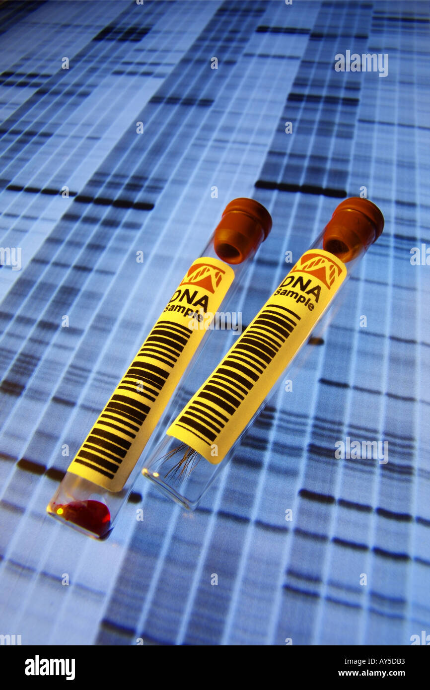 Dos viales uno que contiene una muestra de sangre y un secador para investigación del DNA Foto de stock