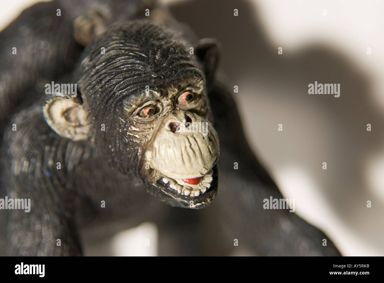 Chimpancé de juguete fotografías e imágenes de alta resolución - Alamy