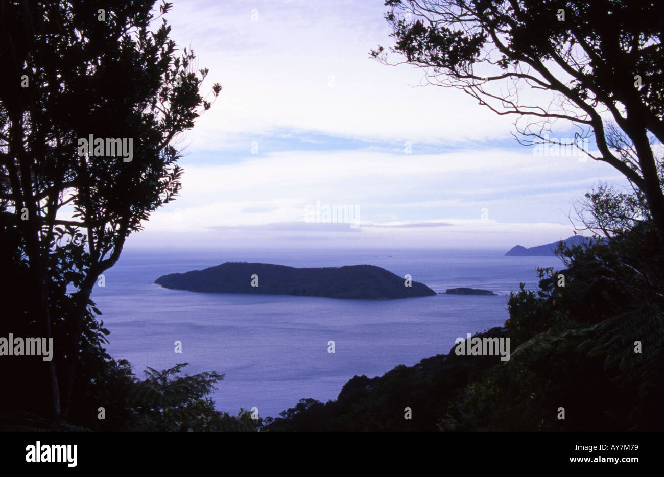 Motuara Island Queen Charlotte Sound, Isla del Sur, Nueva Zelanda Foto de stock
