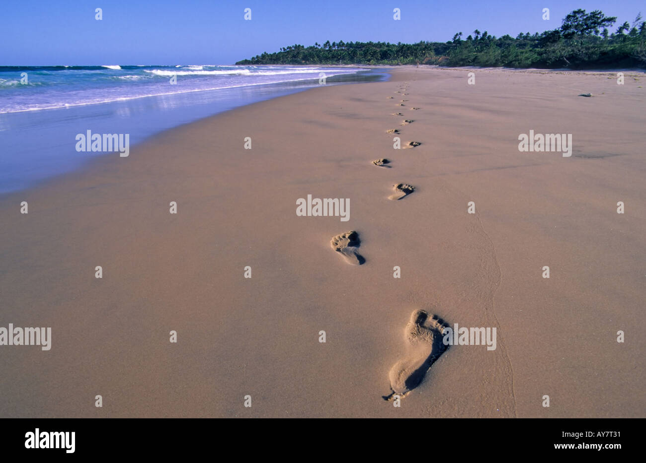 Huellas en la arena, playa de Morrungulo, Mozambique Foto de stock