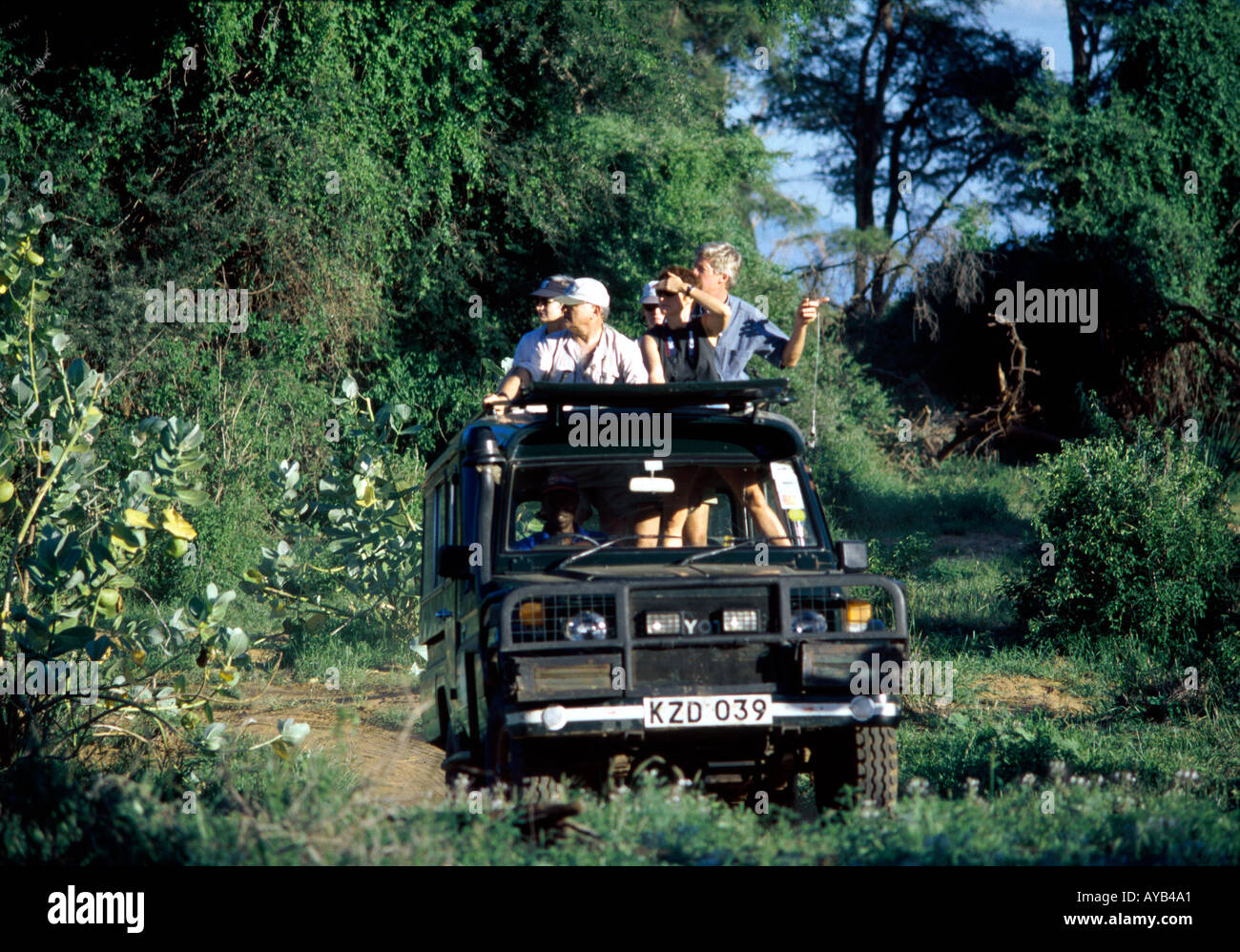 Jeep Safari en el Parque Nacional de Samburu Kenia África Foto de stock