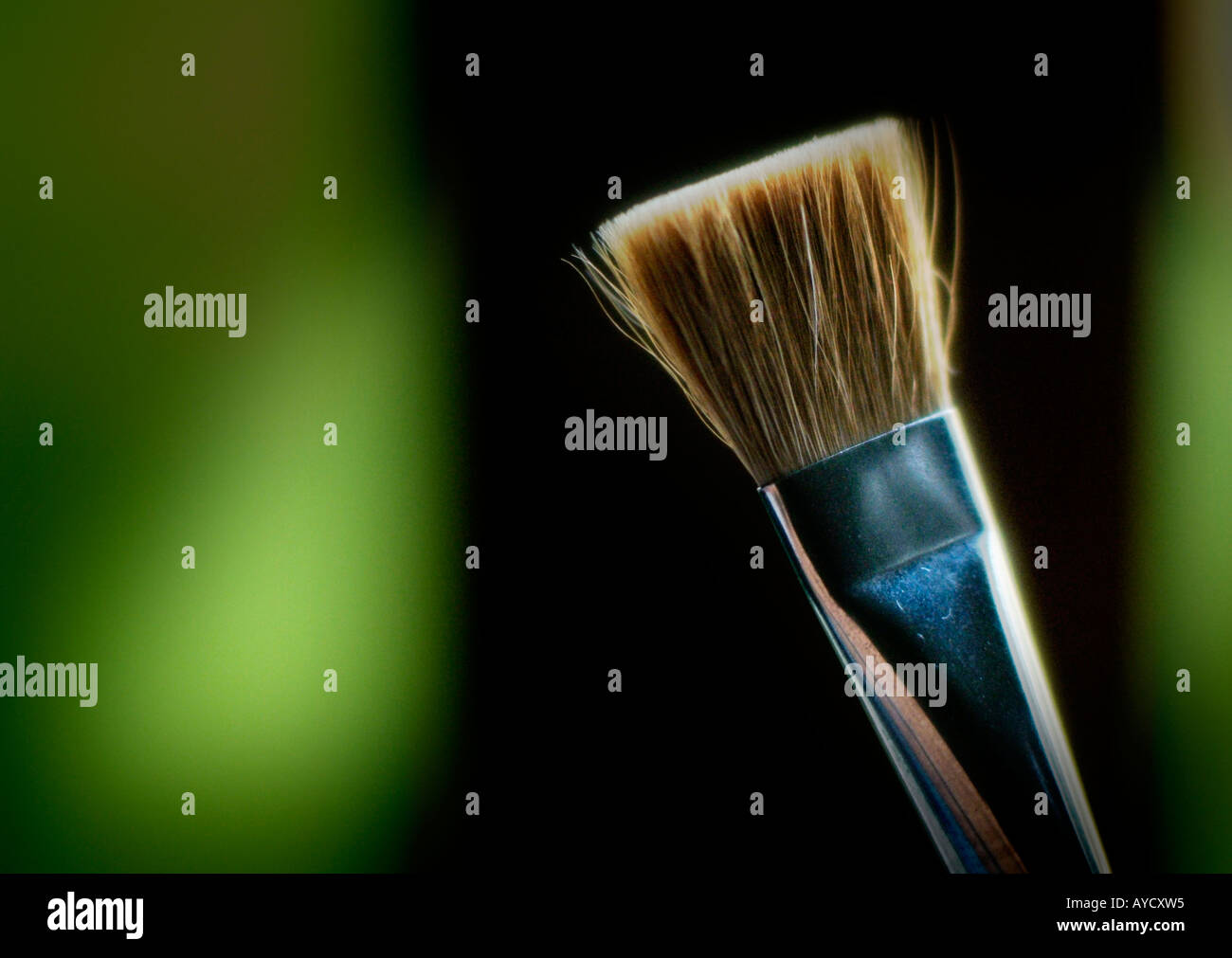 Brocha gorda fotografías e imágenes de alta resolución - Alamy