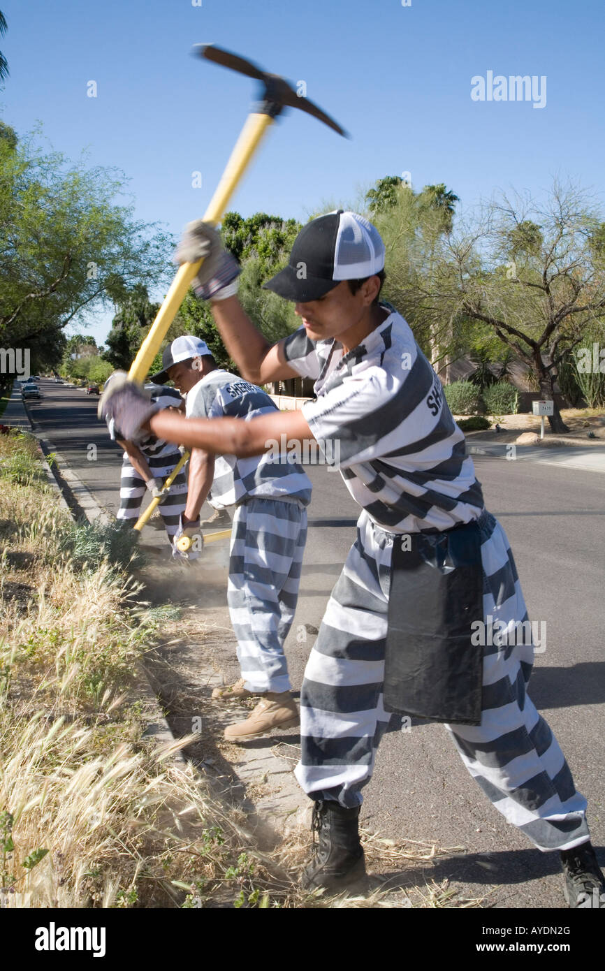 Los reclusos de la cárcel eliminar las especies invasoras en el Phoenix Park Foto de stock