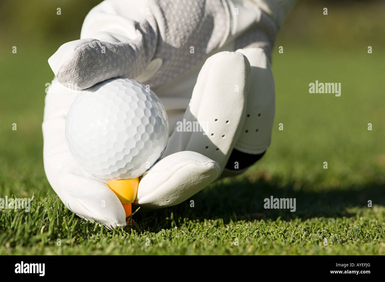 Una persona colocando una pelota de golf en un tee Foto de stock