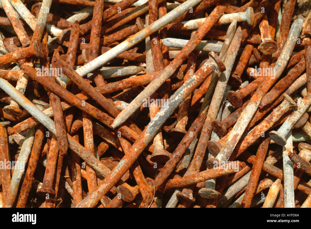 Un Monton De Bent Corroido Y Clavos Oxidados Fotografia De Stock Alamy