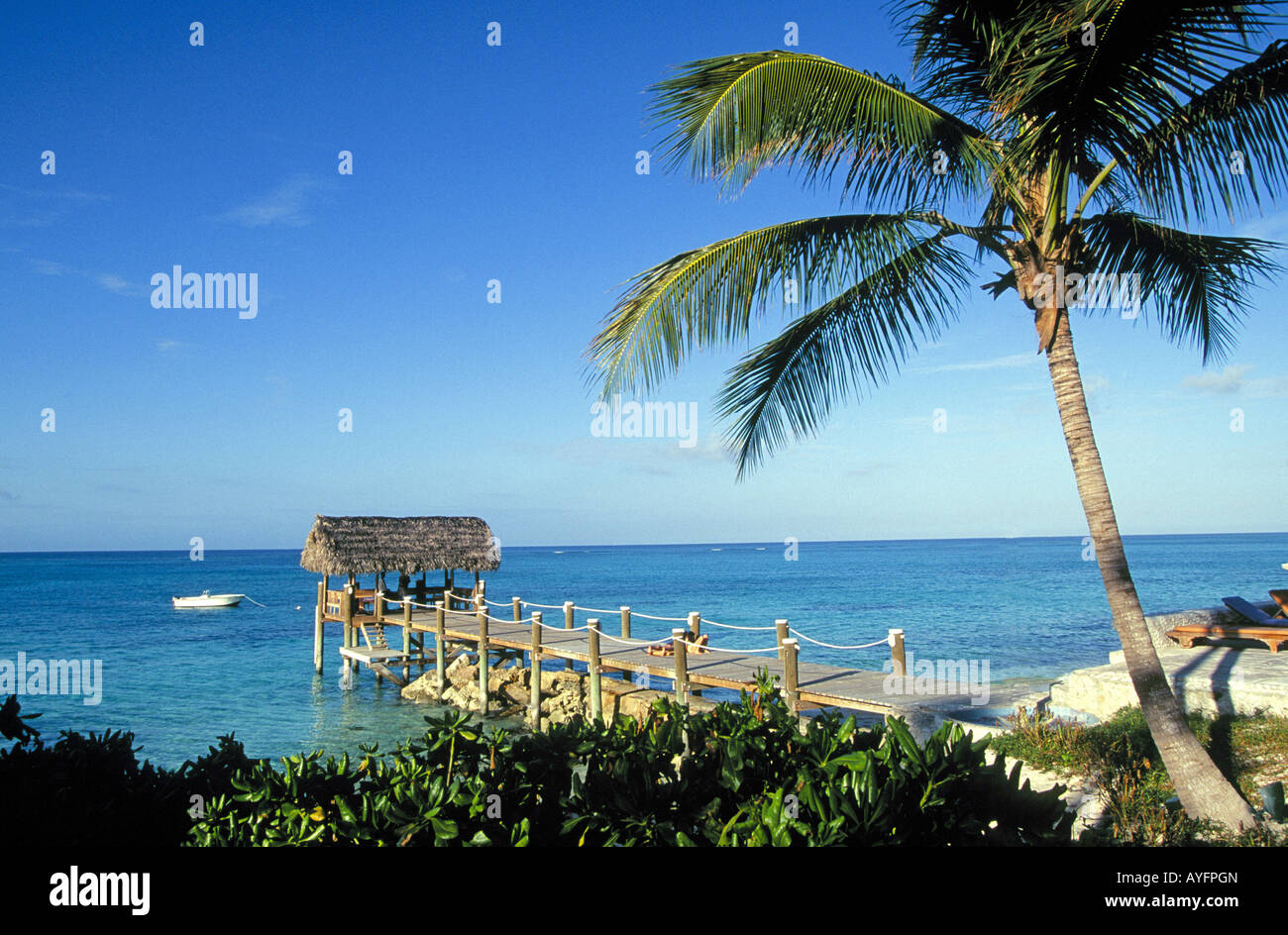 Caribe Islas Bahamas NASSAU, una playa y un techo de paja, cabaña de playa debajo de una palmera en Nassau, Bahamas Foto de stock
