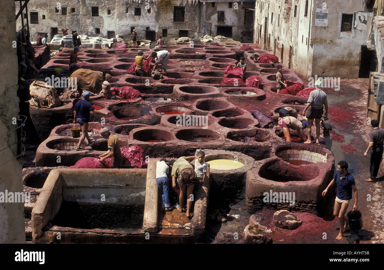 En Fez Ledergerberei Marokko 1977 Foto de stock