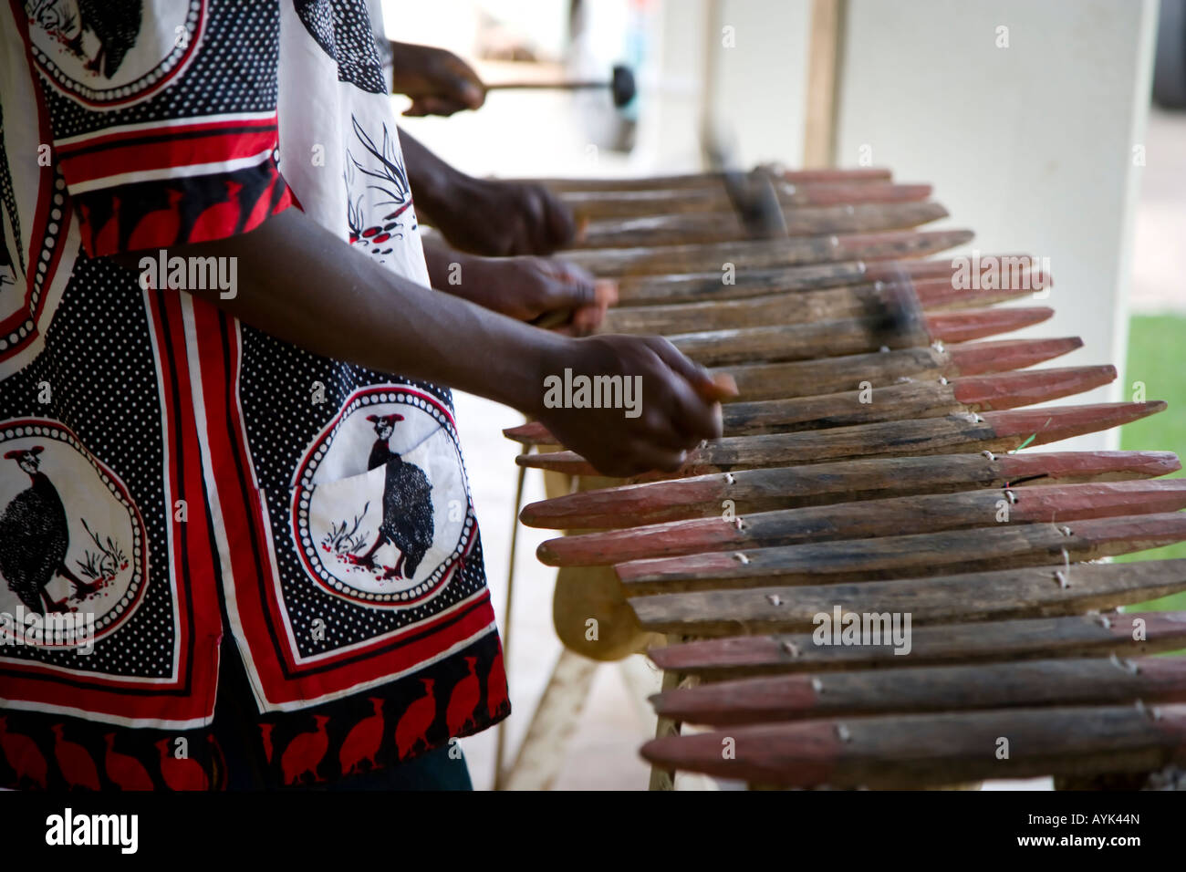 Músicos africanos tocando un instrumento parecido al xilófono Fotografía de  stock - Alamy