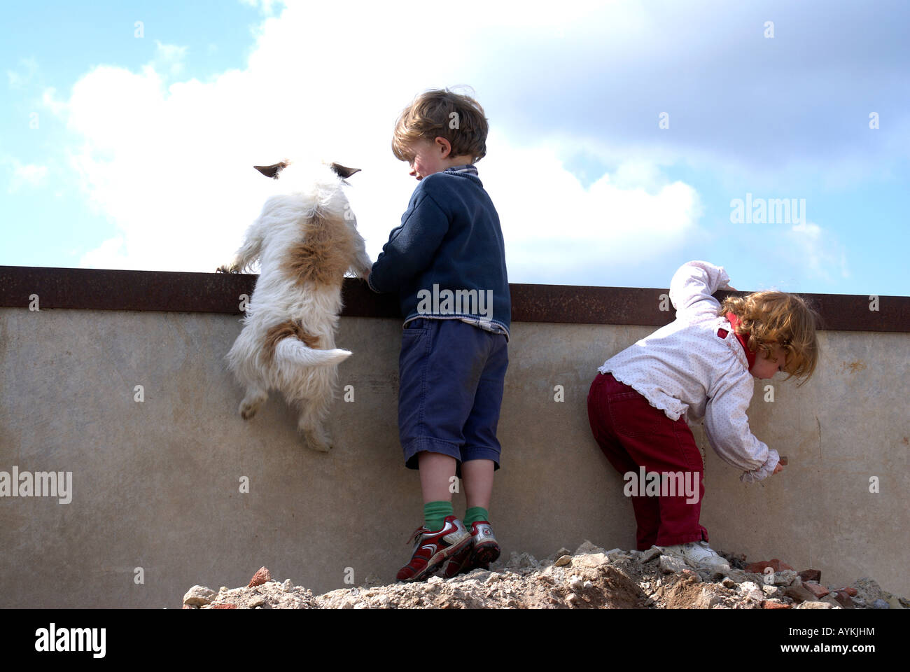 Niños jugando con el perro Jack RussFriendship; el compañerismo, la cercanía, la intimidad, la familiaridad, amabilidad, afinidad, rapport, Foto de stock