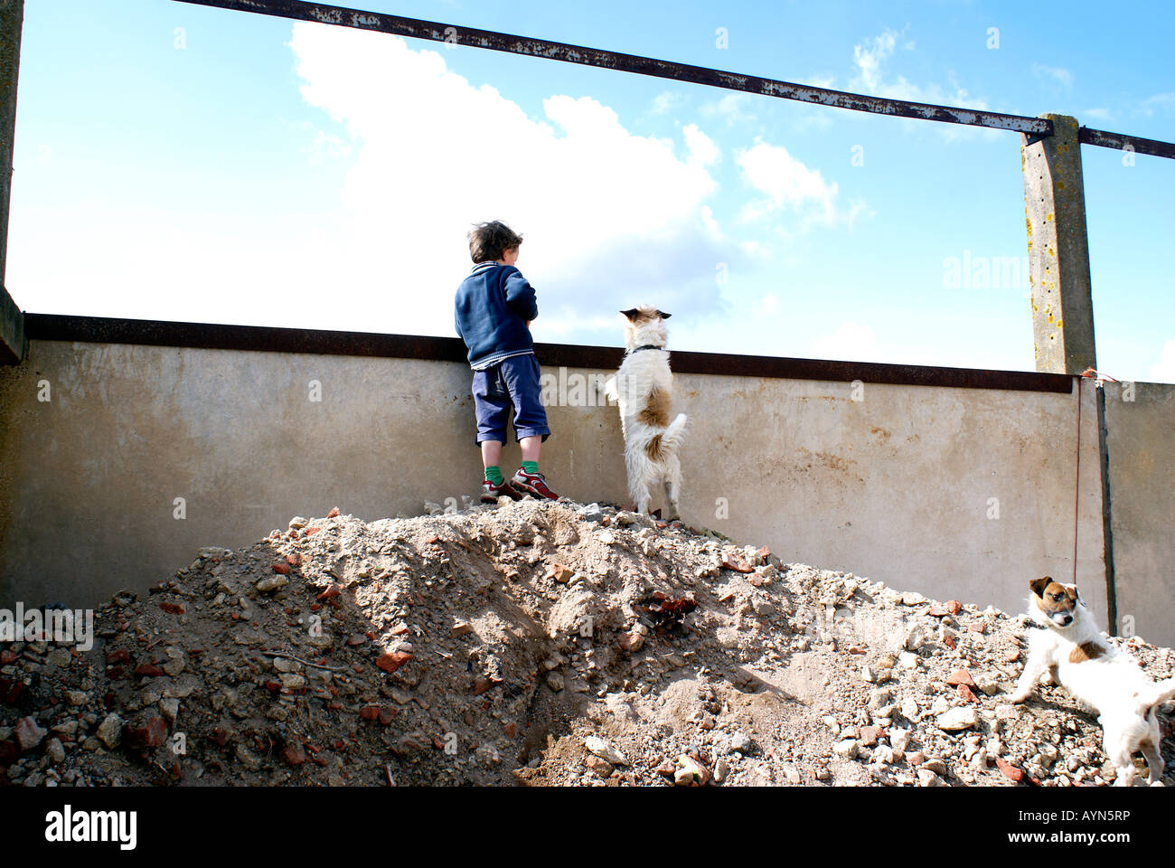 Est amigos con perro Jack boyt Russ la amistad, el compañerismo, la cercanía, la intimidad, la familiaridad, amabilidad Foto de stock