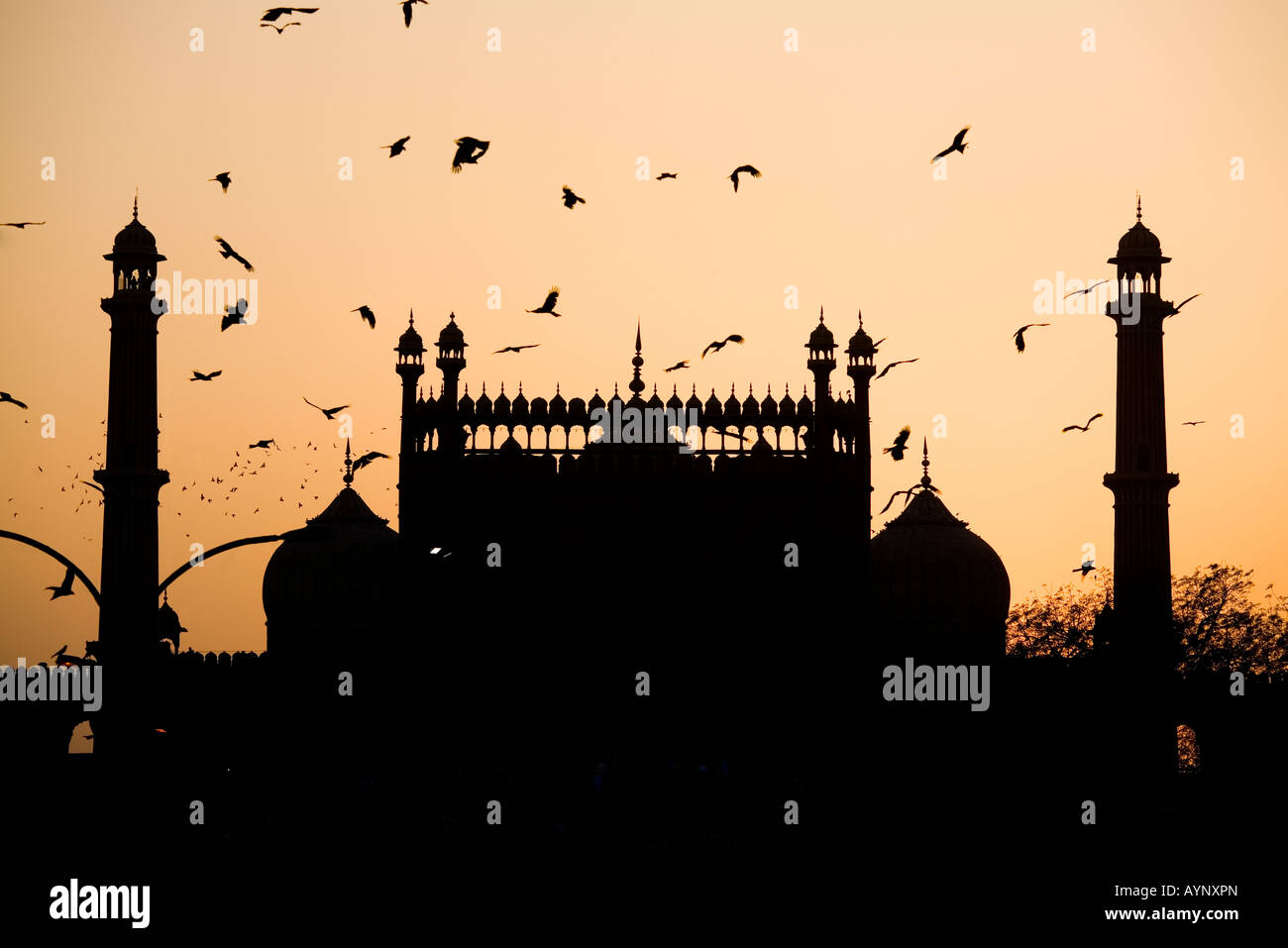 Jama Masjid, Delhi, India Foto de stock