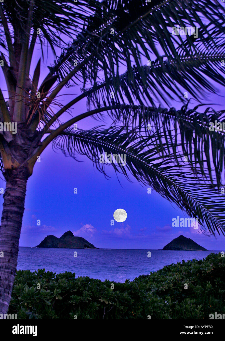 Luna llena ascendiendo sobre islas mokulua Foto de stock