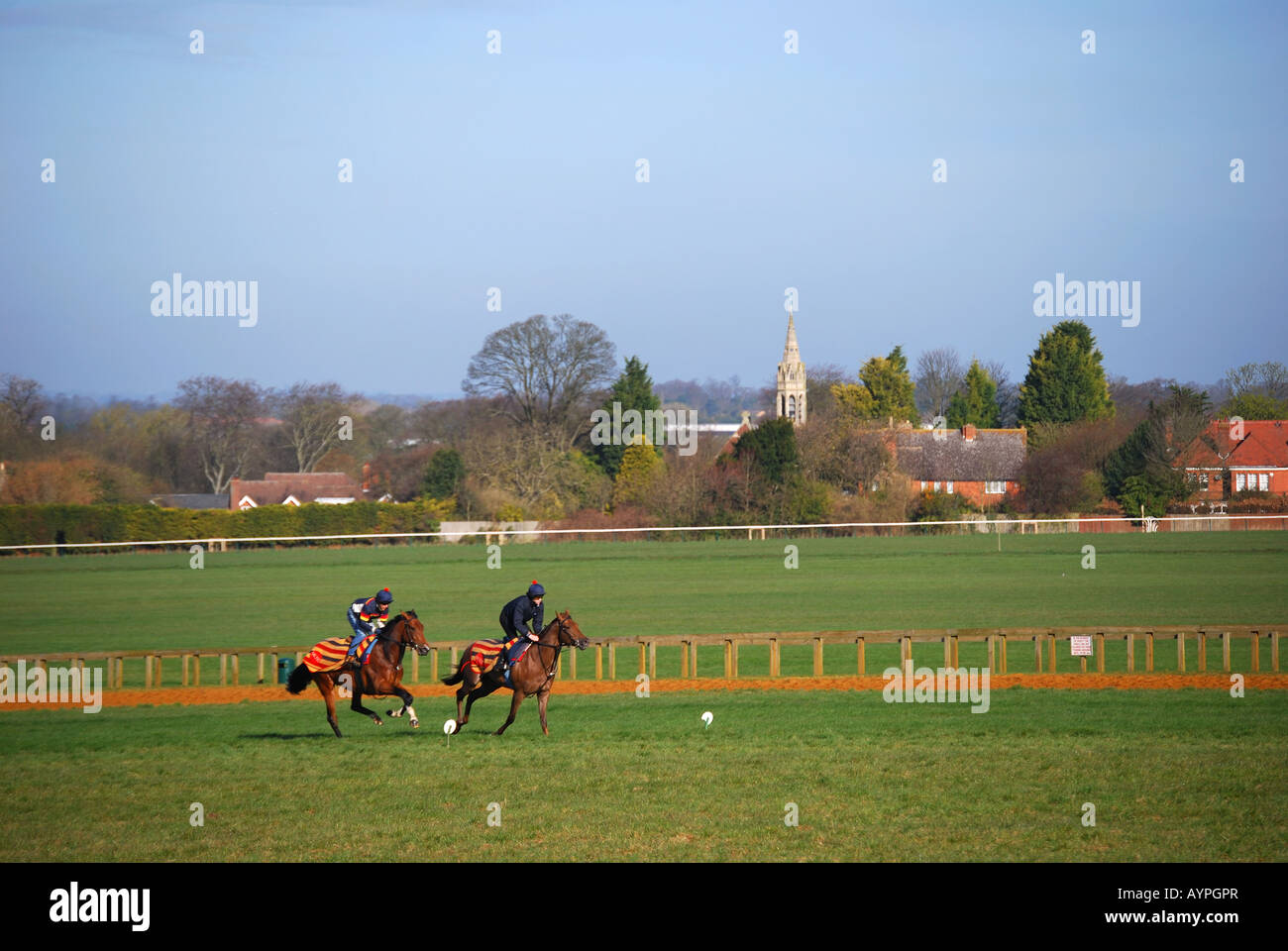 Ejecutar entrenamiento de caballos por la mañana temprano, Newmarket, Suffolk, England, Reino Unido Foto de stock