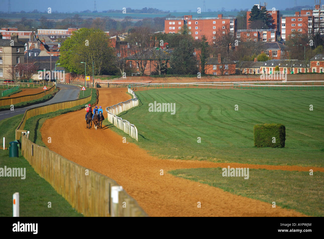 Ejecutar entrenamiento de caballos por la mañana temprano, Newmarket, Suffolk, England, Reino Unido Foto de stock