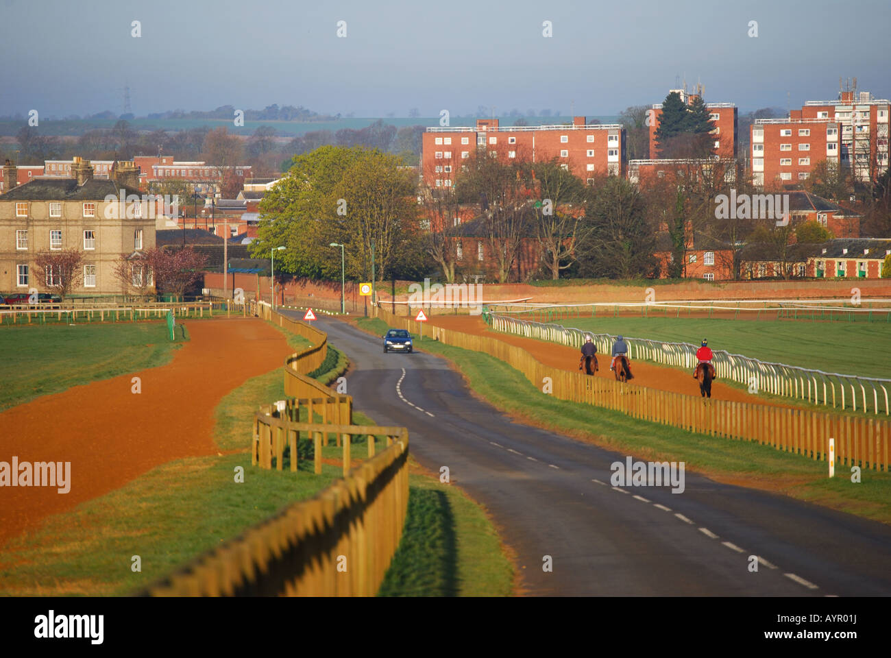Ejecutar entrenamiento de caballos por la mañana temprano, Newmarket, Suffolk, England, Reino Unido Foto de stock