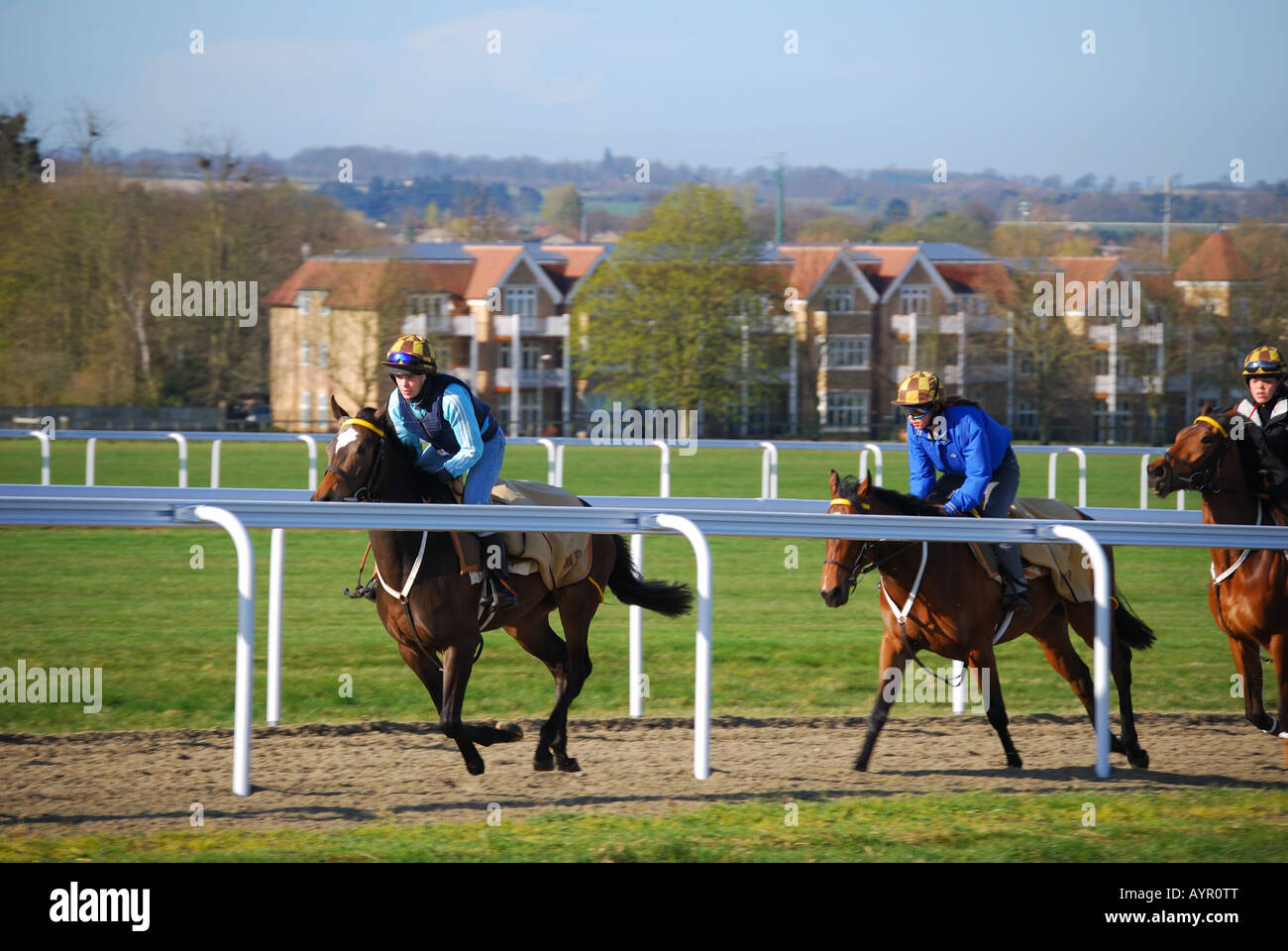 Ejecutar entrenamiento de caballos por la mañana temprano, Newmarket, Suffolk, England, Reino Unido Foto de stock