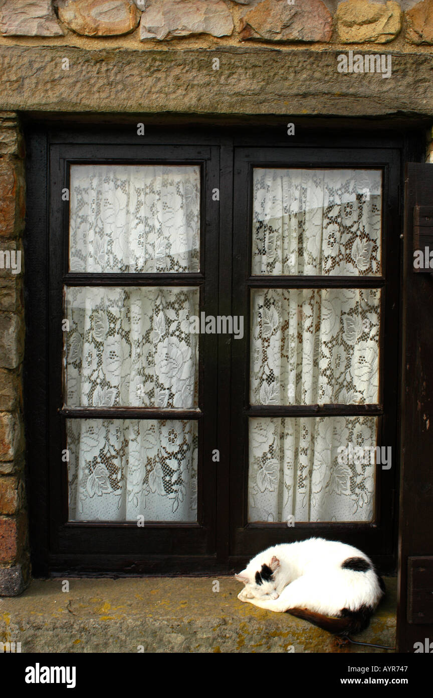 Cerebro divorcio Carnicero Un gato negro blanco patina en el alféizar de la ventana en la campiña de  Gales Casa rural cerca de Swansea West Glamorgan, Gales del Sur UK  Fotografía de stock - Alamy