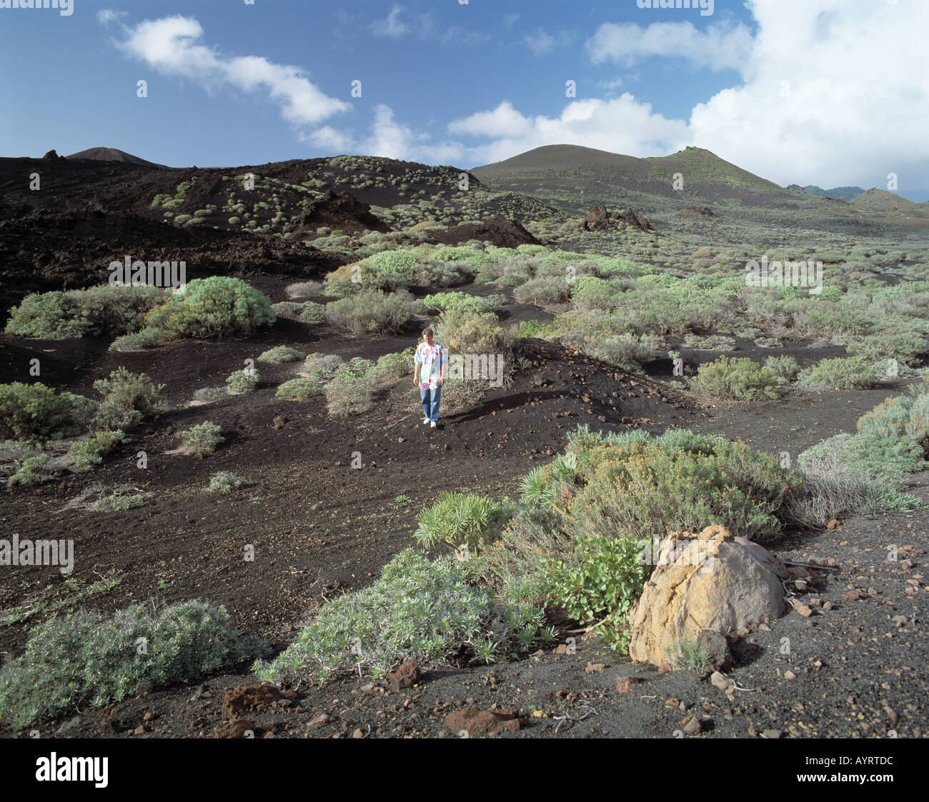 Vulkan Teneguia, Vulkanlandschaft, Gewaechse auf Lavaasche, junge Frau spaziert durch Vulkanlandschaft, Fuencaliente, La Palma, KANARISCHE INSELN Foto de stock