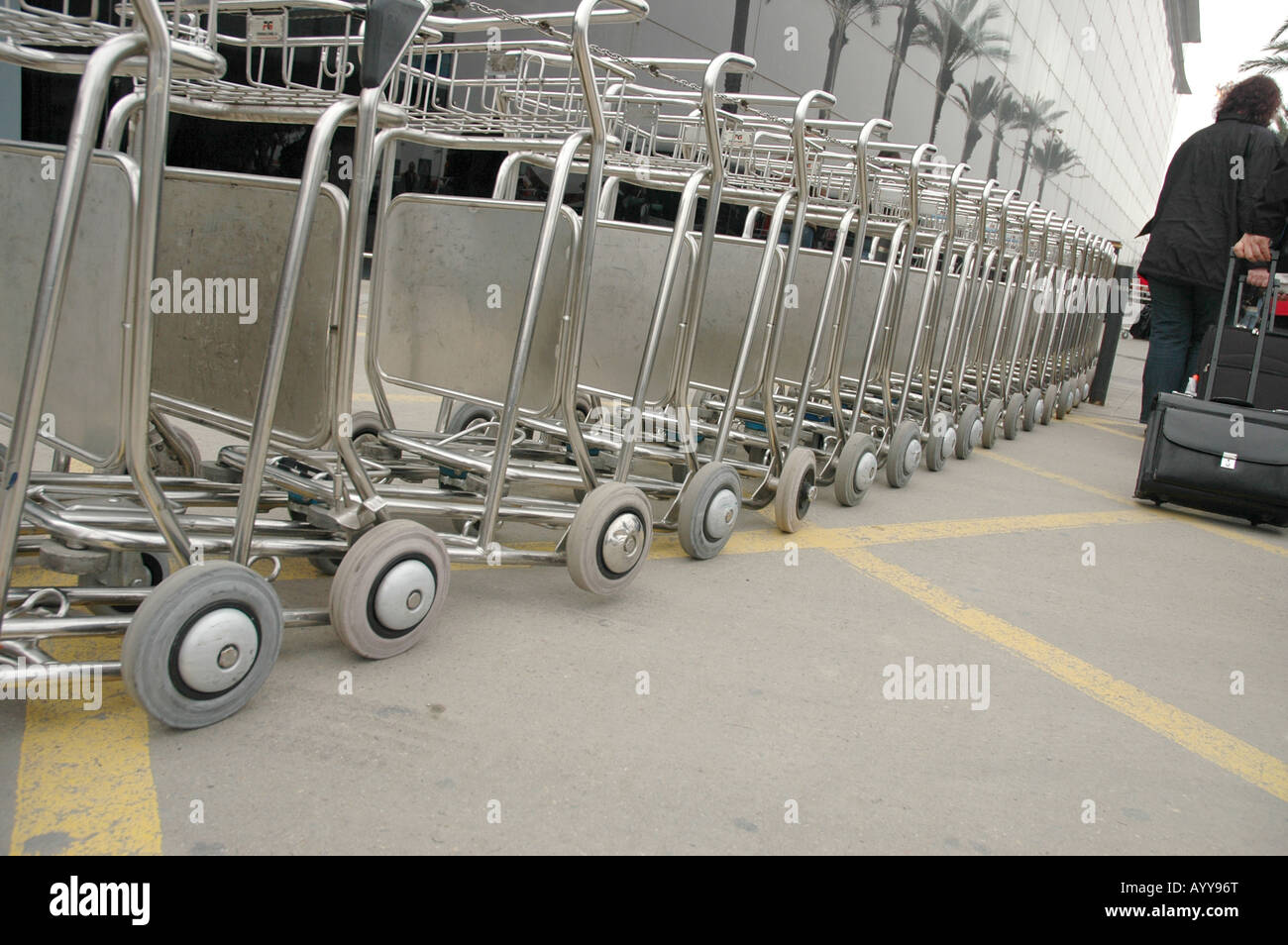 Viajar Travel Reisen TRANSPORTE Transporte aeropuerto Flughafen aeropuerto  aeródromo aeródromo baúles maletas bolsa Koffer Palm Palm Fotografía de  stock - Alamy