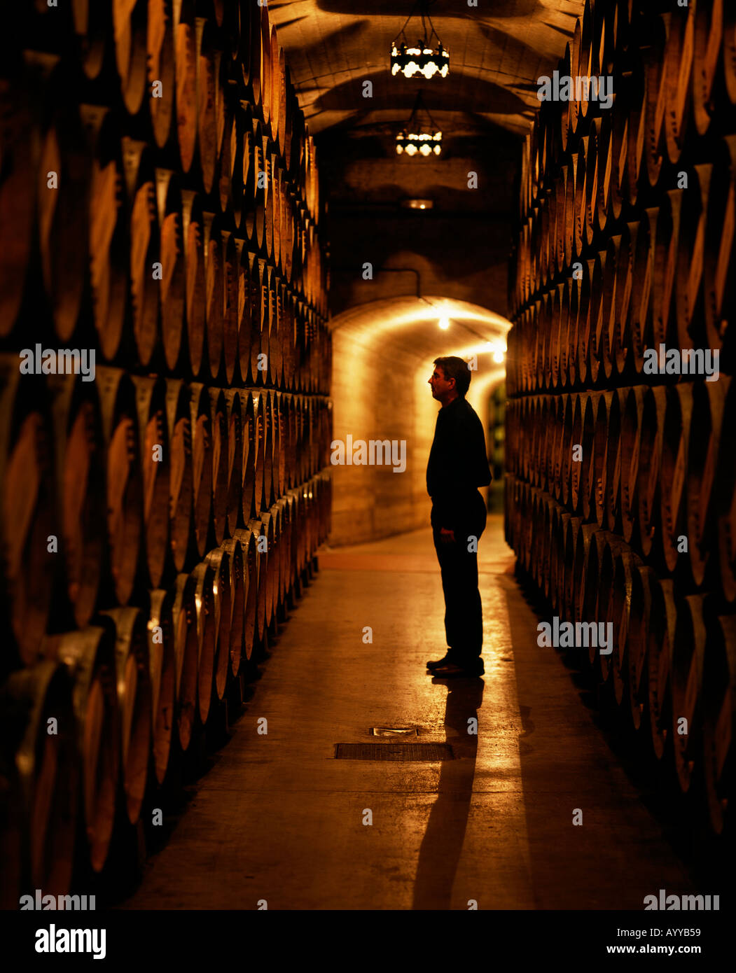 El capataz de obras inspecciona barriles de vino de Rioja en las cavas subterráneas en Bodegas Muga Haro La Rioja España Foto de stock