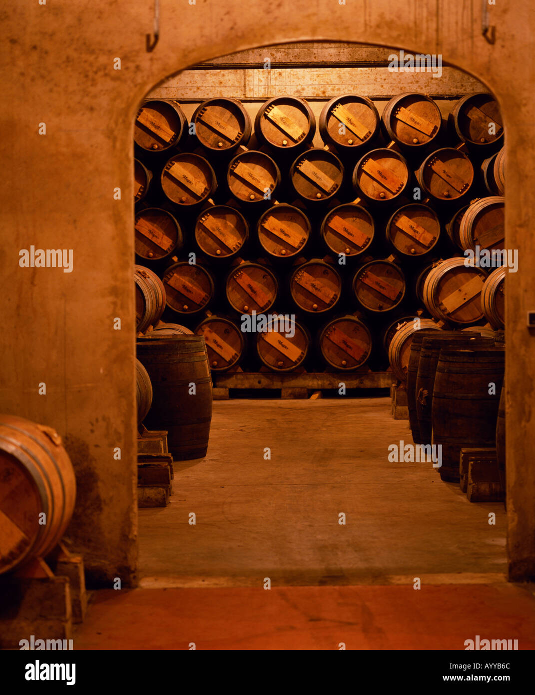 Barriles de vino de Rioja en las cavas subterráneas en Bodegas Muga Haro La Rioja España Foto de stock