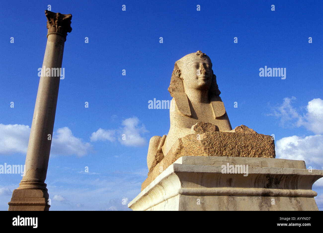 El Pilar De Pompeyo Y La Esfinge En Alejandr a Egipto Fotograf a De 