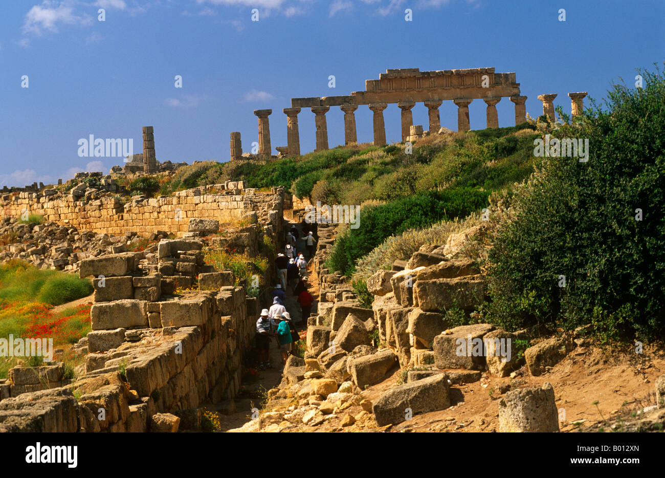 Italia, Sicilia, Trapani. Selinunte abandonados es una antigua ciudad griega, con las ruinas de una acrópolis y numerosos templos. Foto de stock