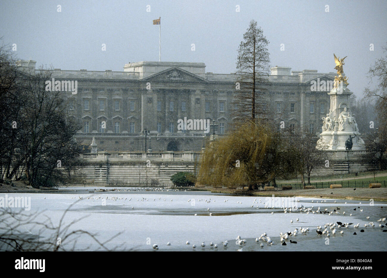 Por la mañana vista desde St James's Park a través de Buckingham Palace como la nieve comienza a caer, Londres, Inglaterra. Foto de stock