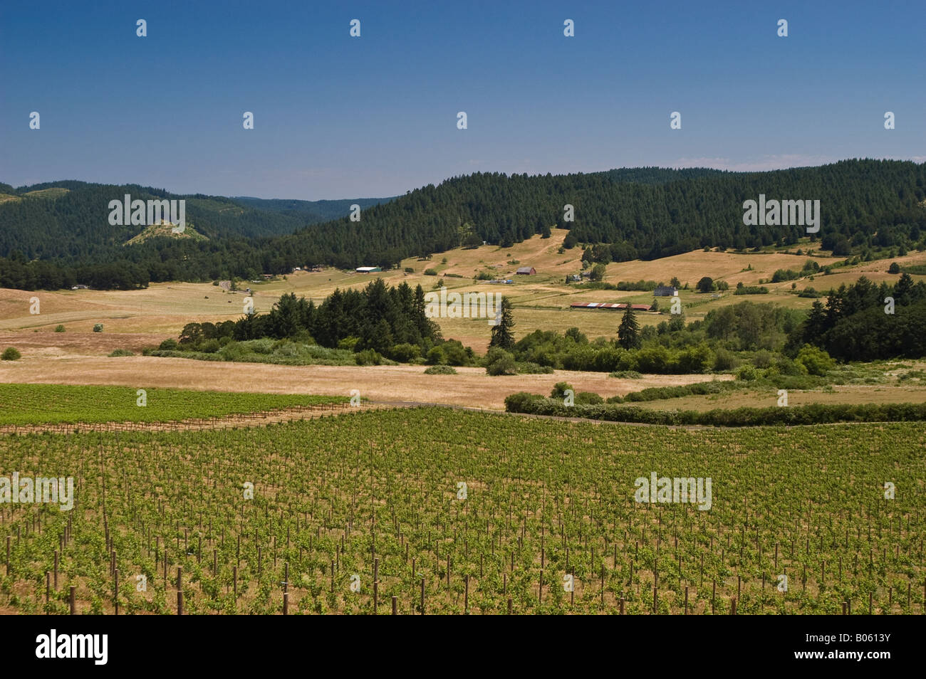 Lorane fotografías e imágenes de alta resolución Alamy