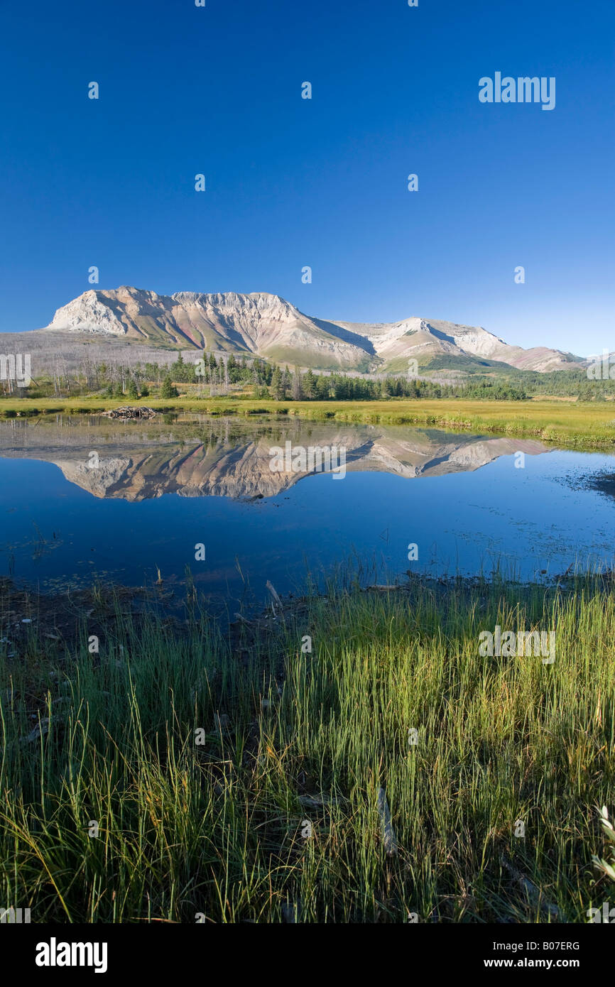 Sofá Montaña, Parque Nacional Waterton Lakes en Alberta, Canadá Foto de stock