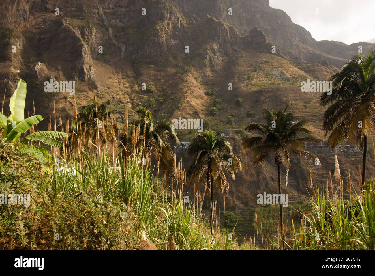 La tierra cultivable en el valle de Ribeira do Pablo en Santo Antão, Cabo Verde, África Foto de stock