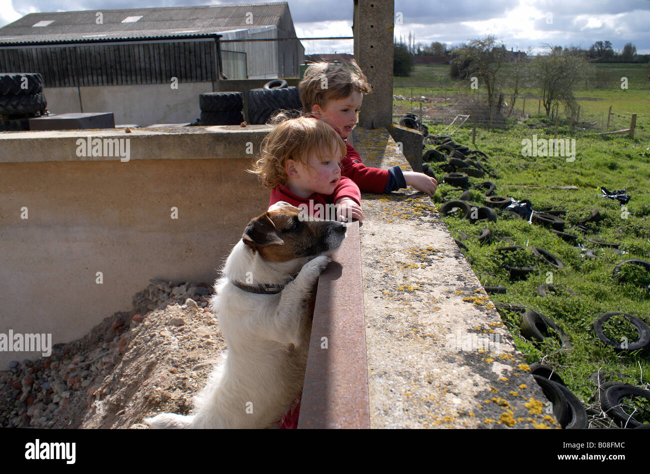 Chico Chica y su mejor amigo perro Jack Russell disfrutar el compañerismo, la cercanía, la intimidad, la familiaridad, la inocencia; Foto de stock