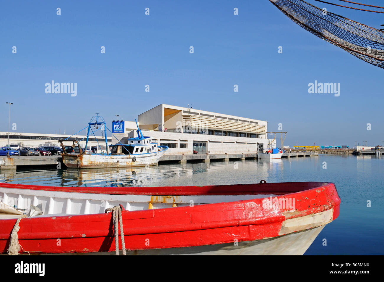 Sala de subasta de pescado, puerto pesquero, Denia, Valencia, Costa Blanca,  España Fotografía de stock - Alamy