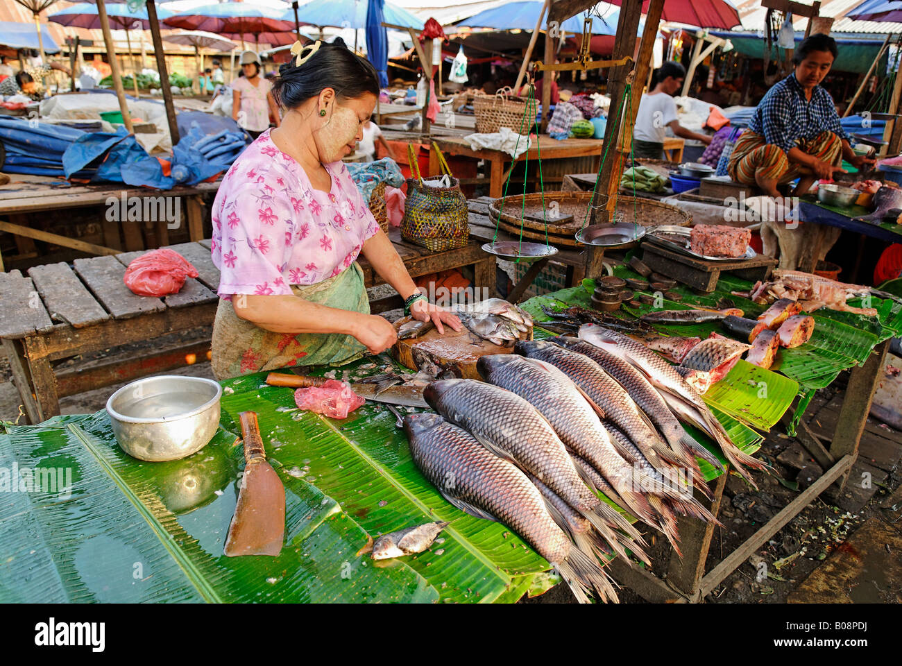 Mercado de Myitkyina, en el estado de Kachin, en Myanmar (Birmania), el sudeste de Asia Foto de stock