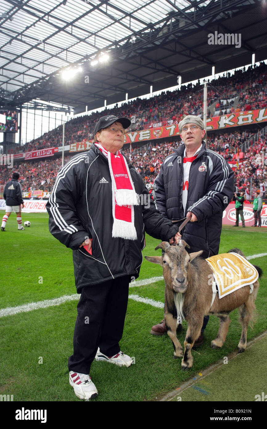 Hennes el Billy Goat, la mascota de 1. FC Koeln, segunda, Segunda División de la Bundesliga alemana, 9 de marzo de 2008 coincidencia entre 1. FC Koeln Foto de stock