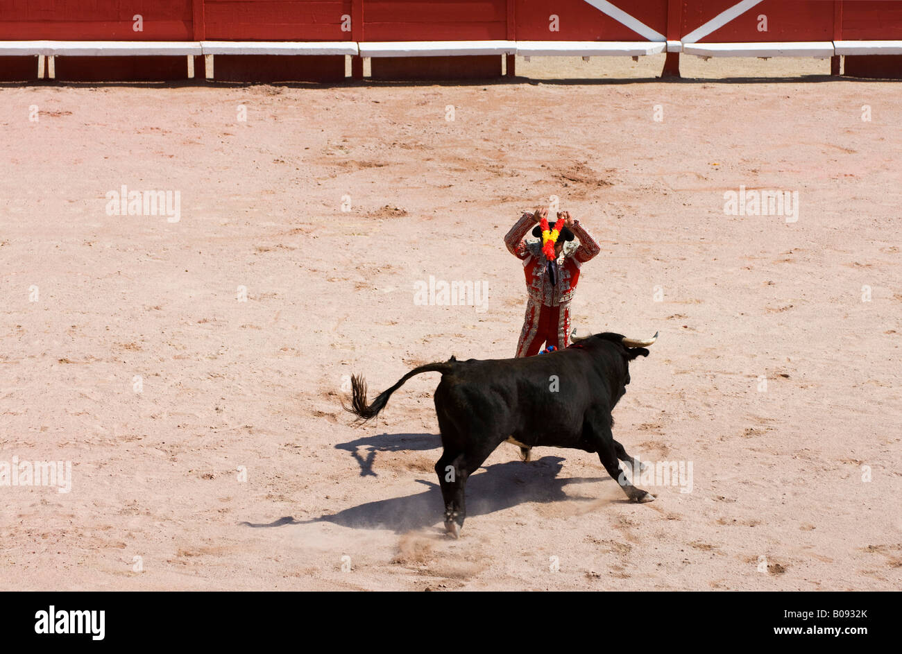 La primera banderilla Banderillero puñaladas en el cuello del toro, corrida de toros, feria 2007, plaza de toros en Arles, Francia Foto de stock