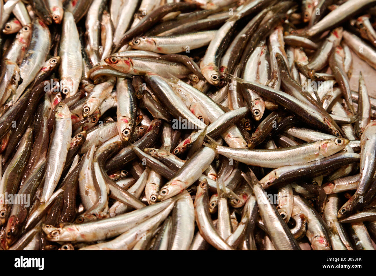 El pescado se vende en un mercado en Mallorca, Islas Baleares, España Foto de stock