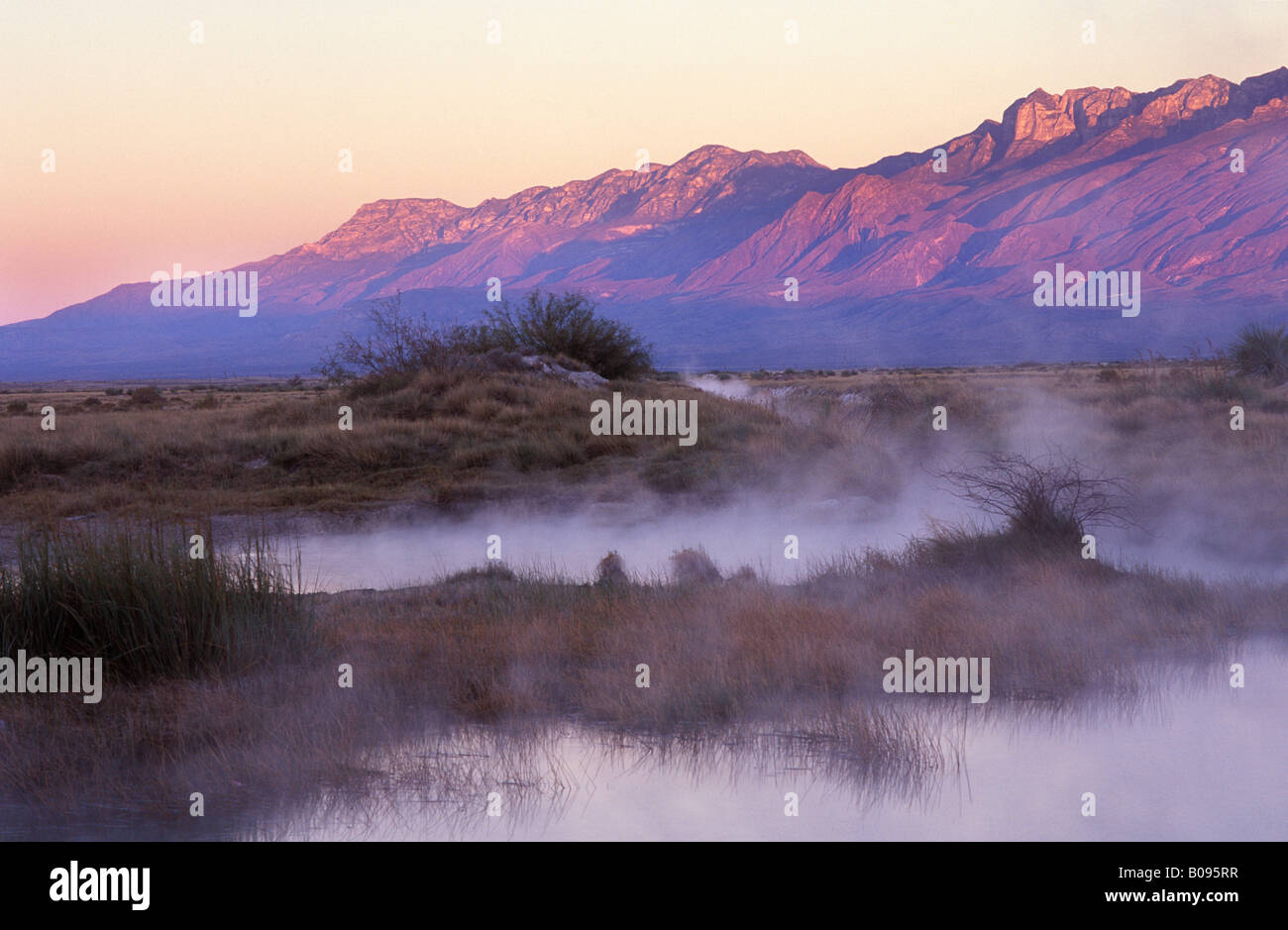 Niebla pasando de un estanque termal en la mañana, la cuenca de Cuatro Ciénegas, Coahuila, México Foto de stock