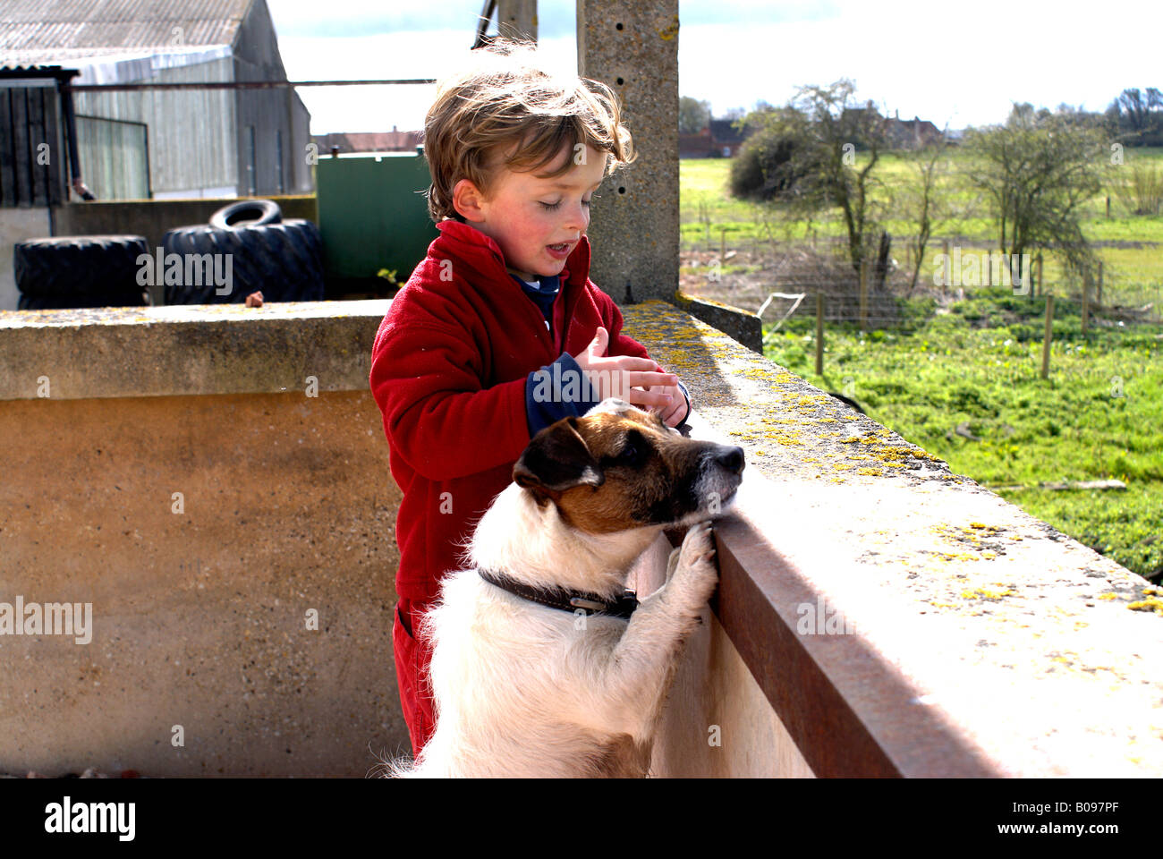 Niño y perro Jack Russell disfrutar el compañerismo, la cercanía, la intimidad, la familiaridad, la inocencia; guiltlessness, inculpabilidad, honestidad Foto de stock