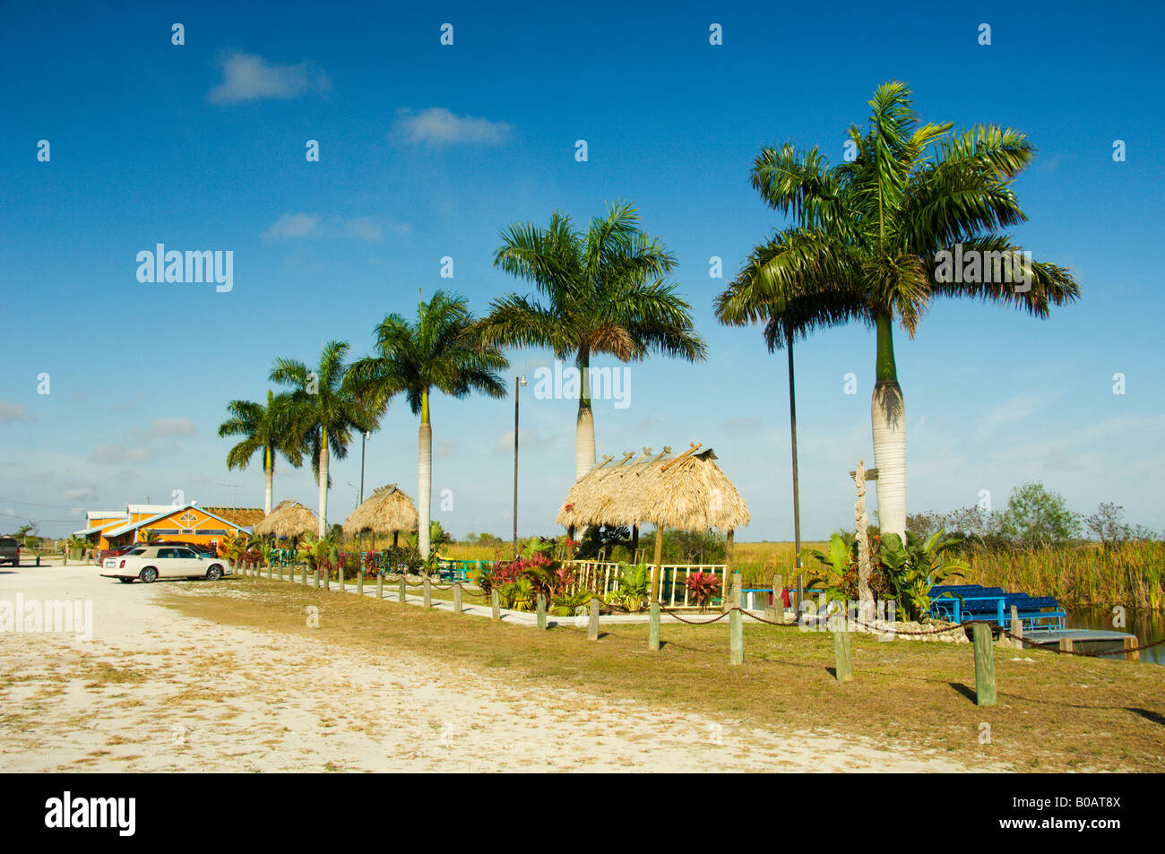 Un Americano Nativo cobijo en las praderas y pantanos de los Everglades de la Florida EE.UU. Foto de stock