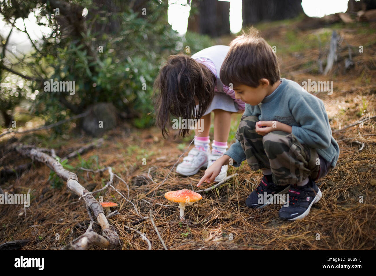 A partir de seis años chico y chica cuatro años examinar un toadstool en los jardines del zoo de Wellington, Nueva Zelanda Foto de stock