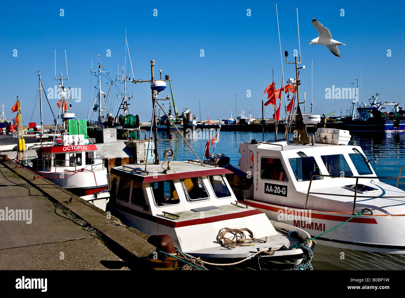 Cortadores de pesca danesa en Hanstholm harbour Foto de stock