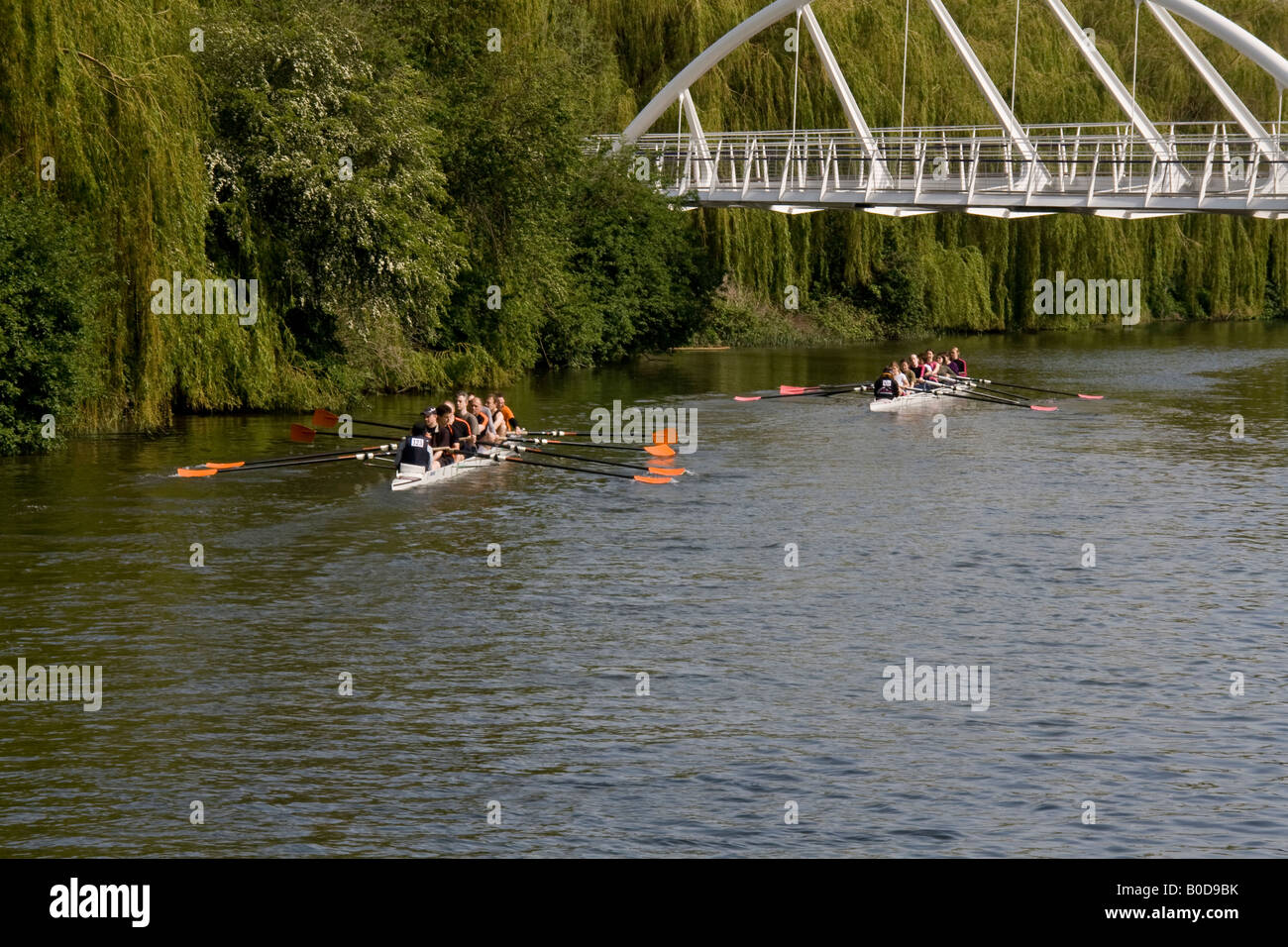 Los remeros en el río Cam cerca del centro de la ciudad de Cambridge Foto de stock